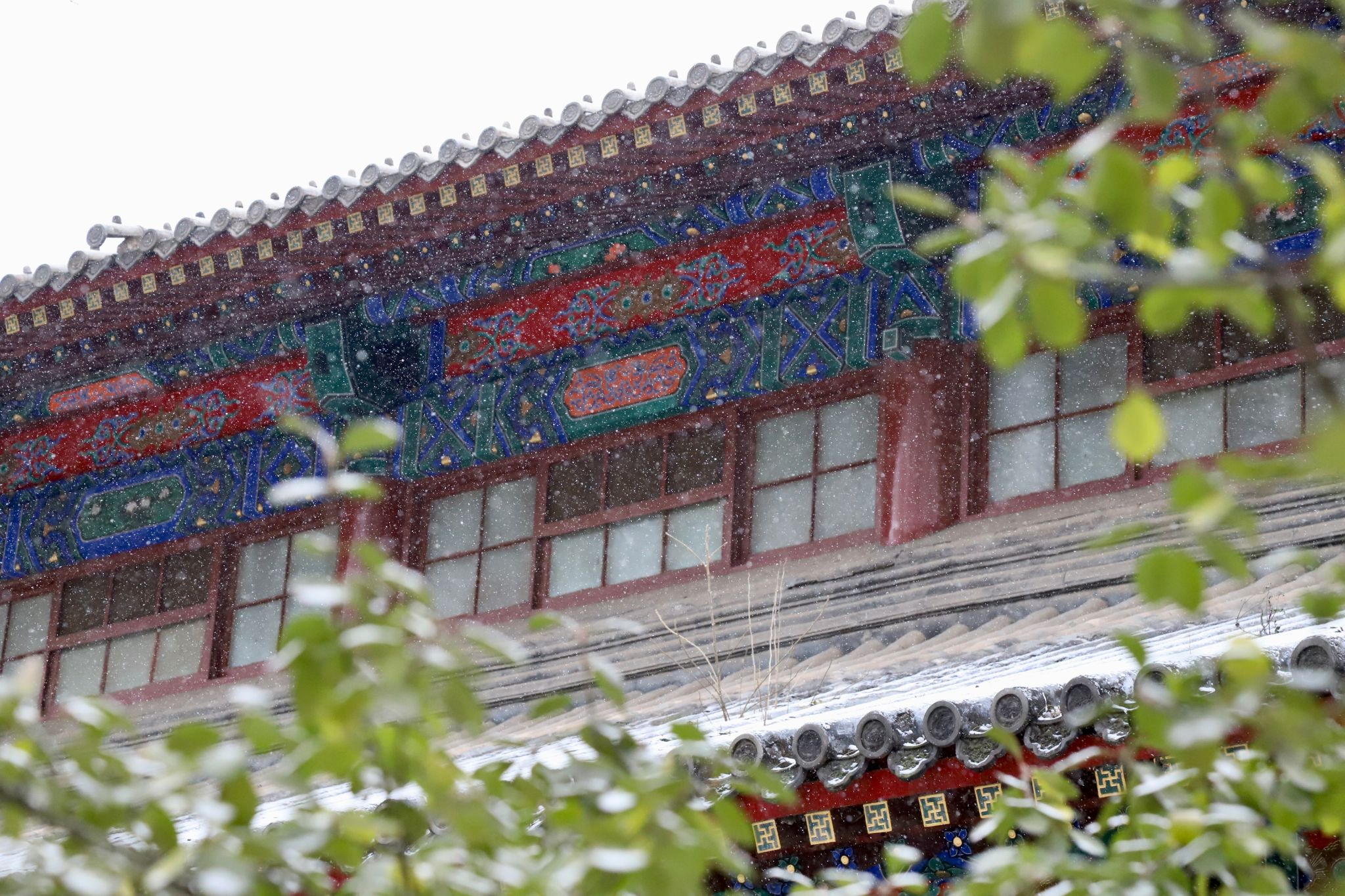 跟随知行中华社会实践团队
