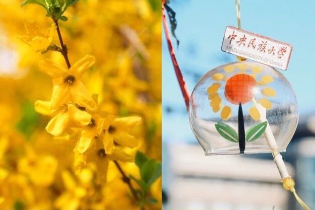让“大思政课”在祖国大地上走深走实