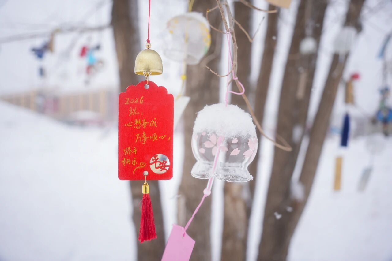 今年暑假