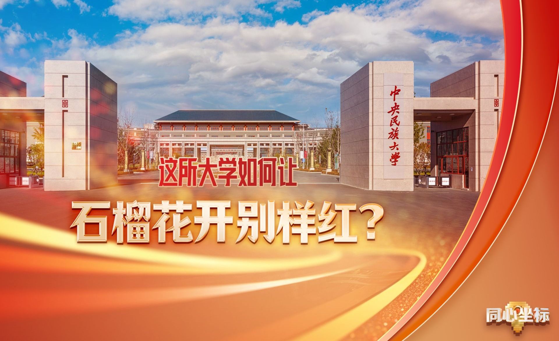 这里的石榴花