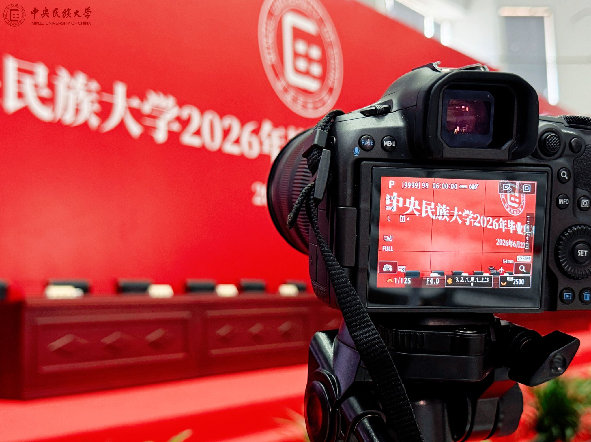 同窗的合影