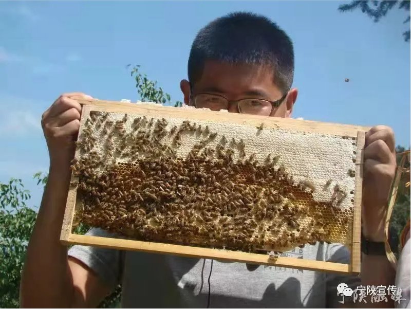 发布时间:2021-03-12