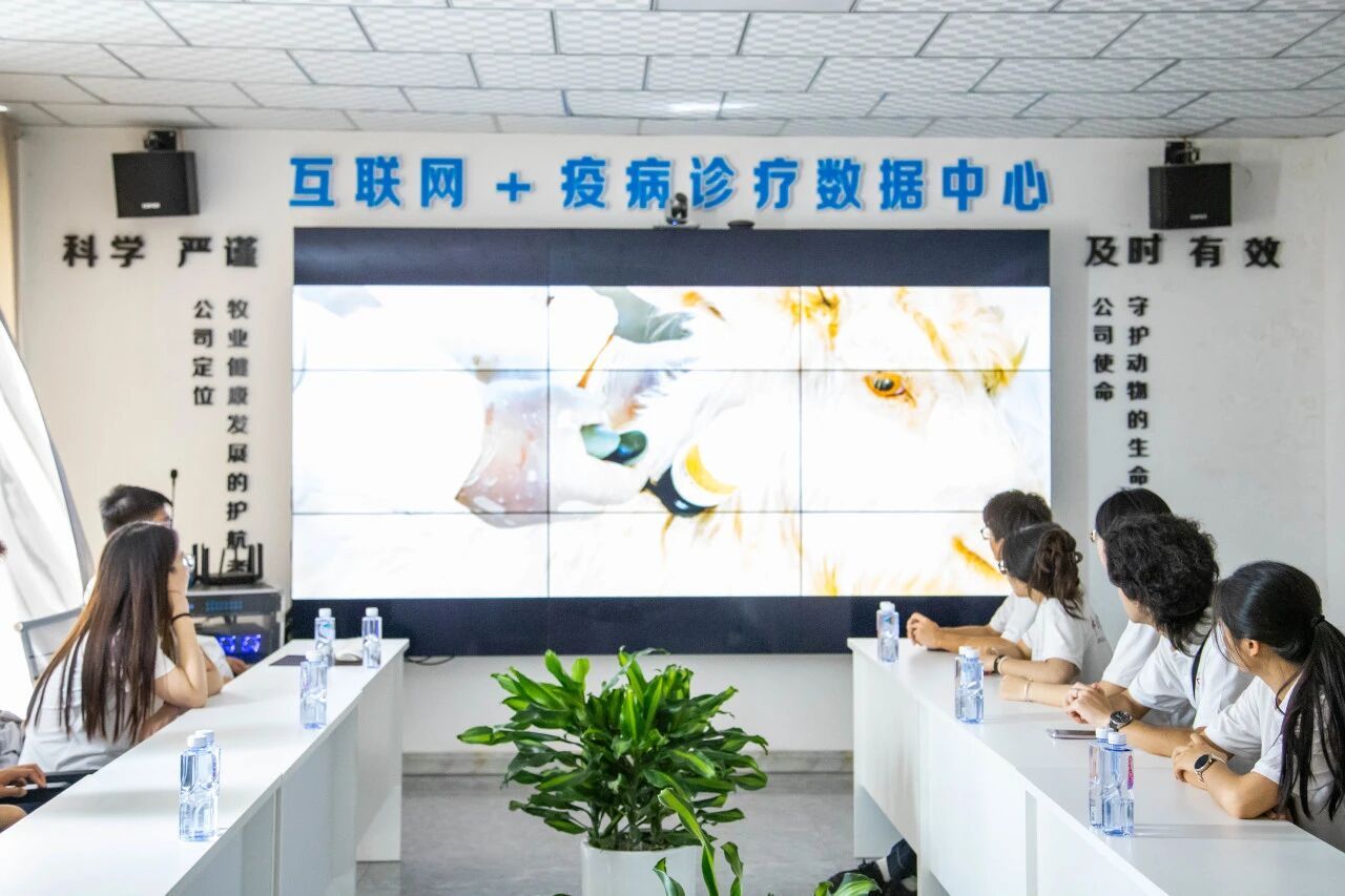 悄然根植于这片草原的寸寸土地