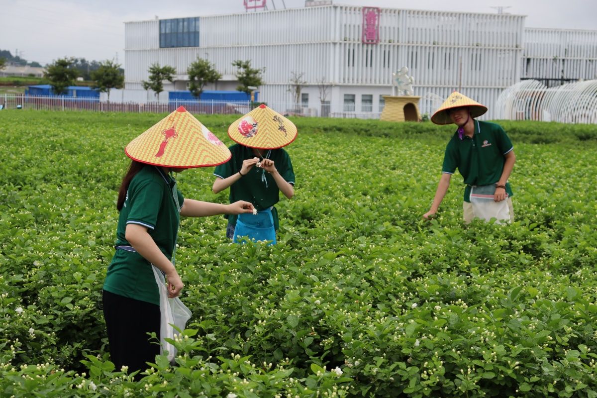 解码资源型城市生态治理的“鄂尔多斯路