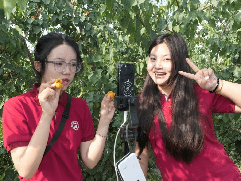 推动产学研用融合