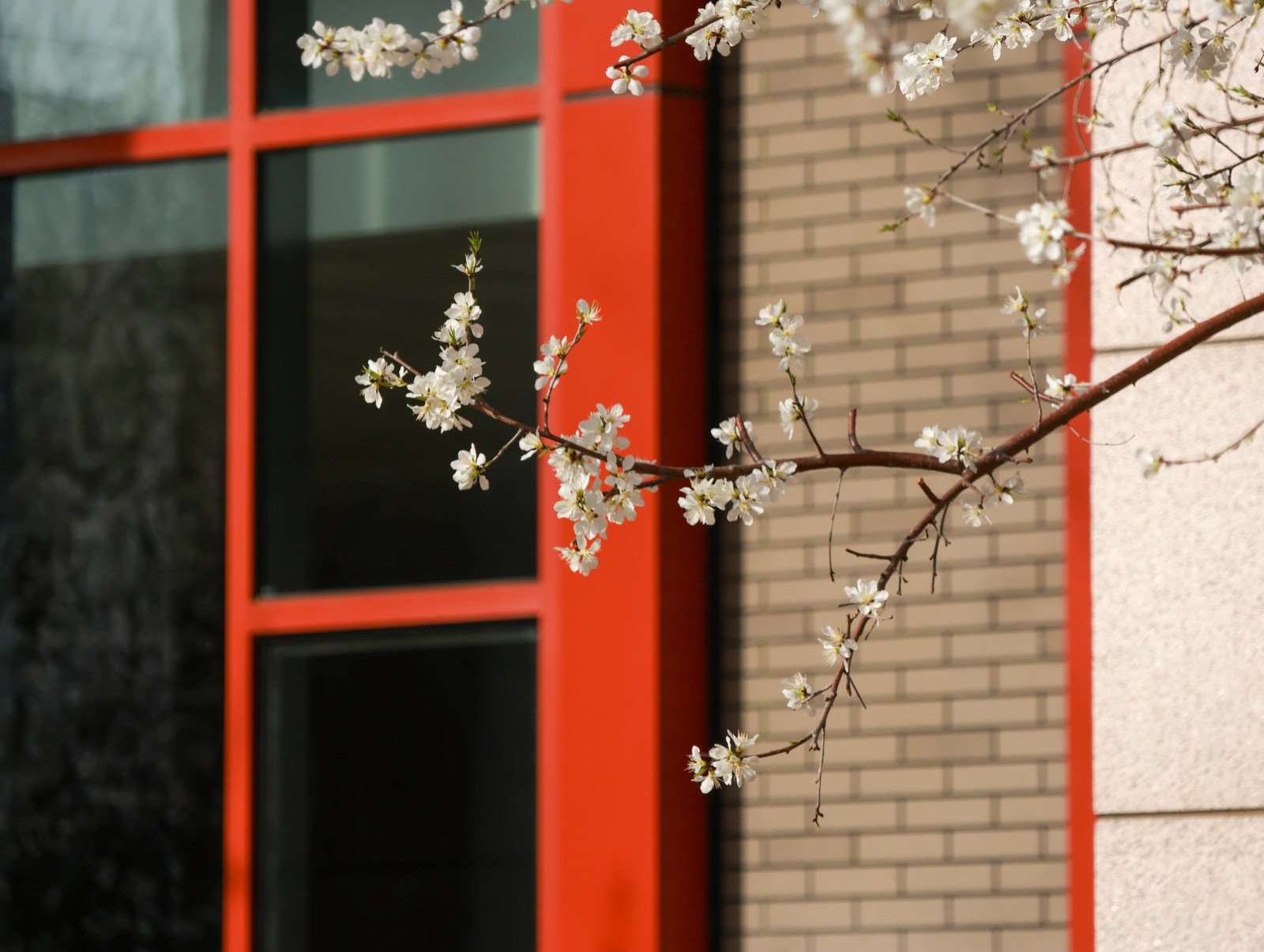 3月19日
