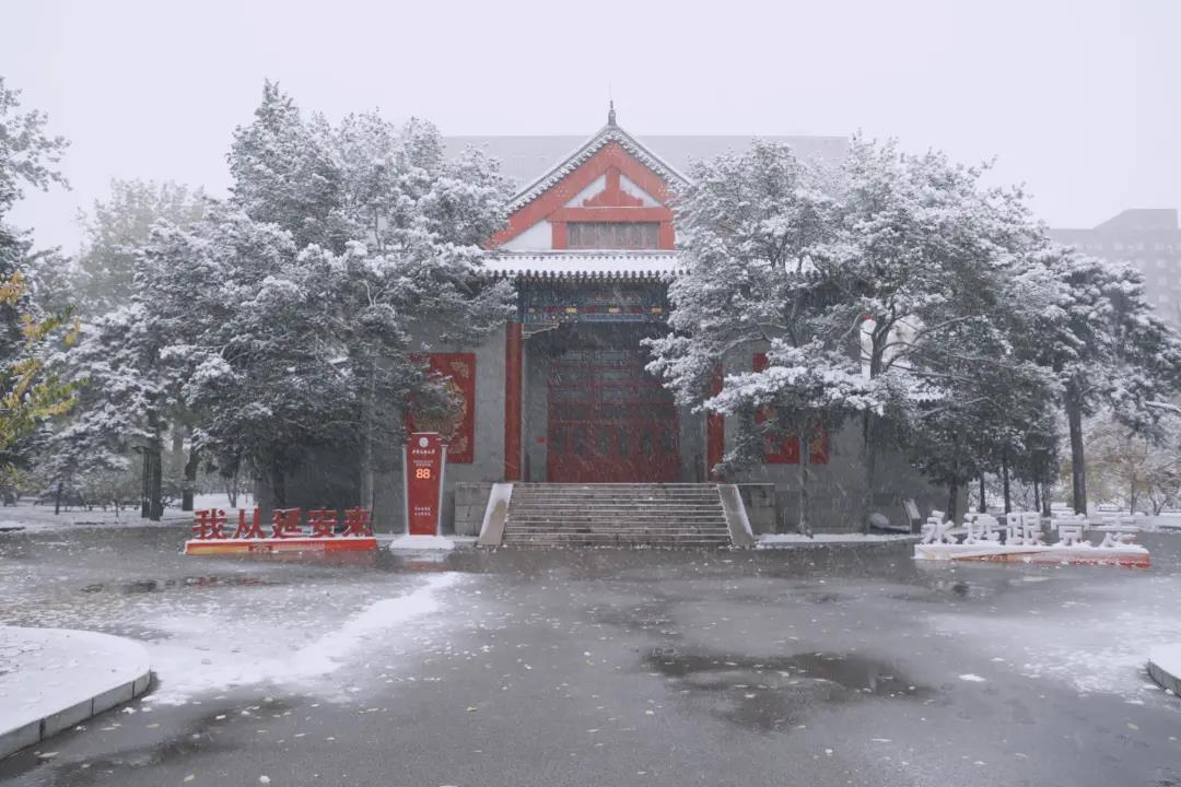 010-68932500
