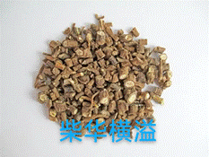 2025-05-18 21:53:29.630000 药学院2025年心理文化节第一弹“本