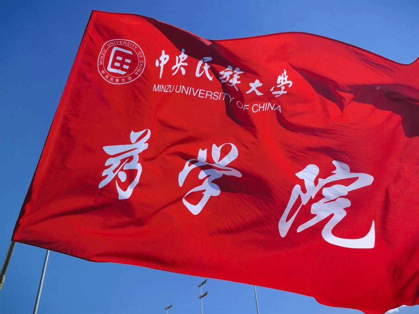 发布日期