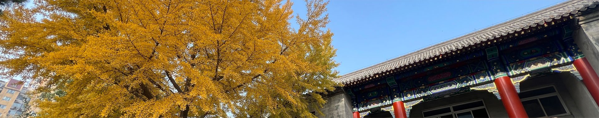 发布日期：2026-07-28