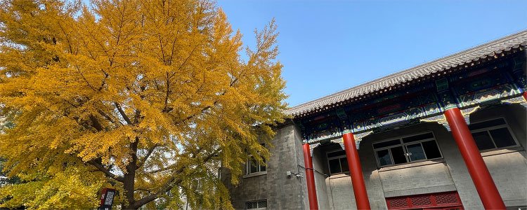 管理学院专业介绍