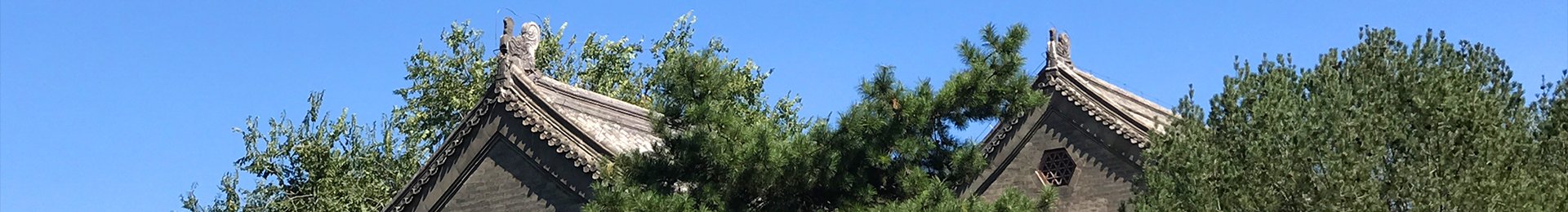 新闻网讯 近日
